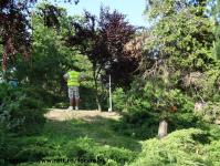 Imagine atasata: Bega - 2014.06.13 - 29.jpg